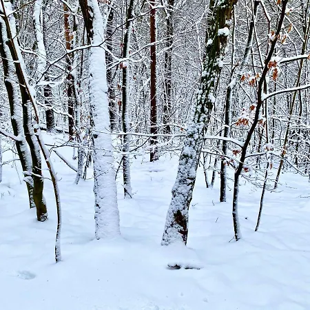 Ferienwohnung Natur Und Kunst *