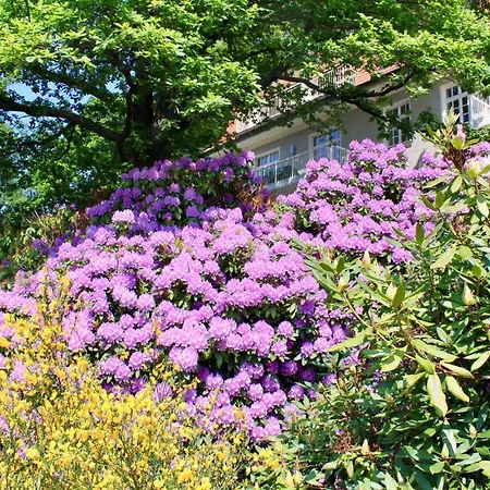Daire Ferienwohnung Natur Und Kunst