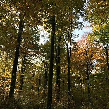 Ferienwohnung Natur Und Kunst Daire
