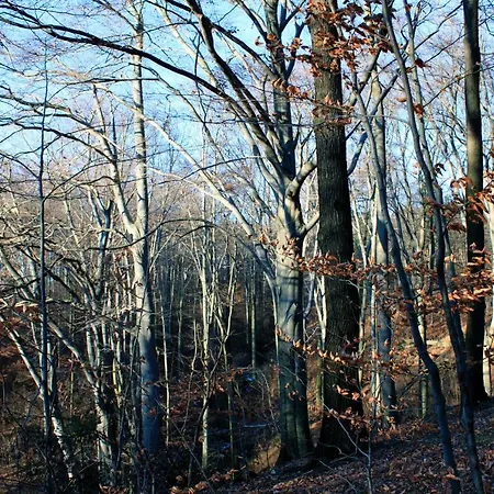 Daire Ferienwohnung Natur Und Kunst