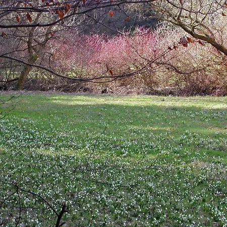 Daire Ferienwohnung Natur Und Kunst