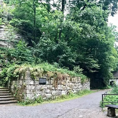 Appartamento Ferienwohnung Natur Und Kunst Dresda