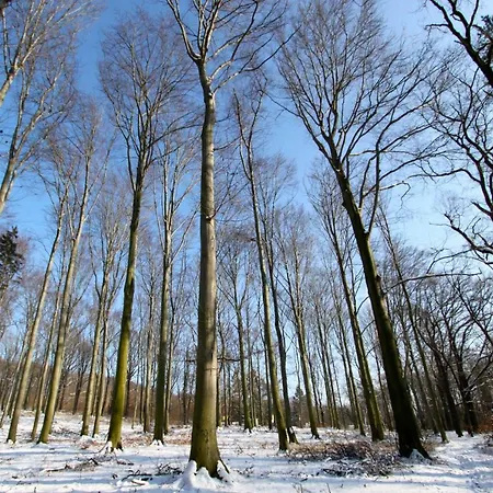 Ferienwohnung Natur Und Kunst *