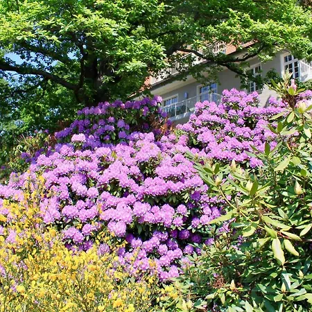 Appartement Ferienwohnung Natur Und Kunst
