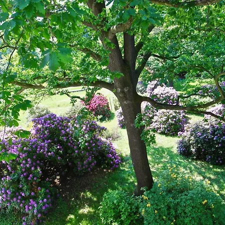 Ferienwohnung Natur Und Kunst *